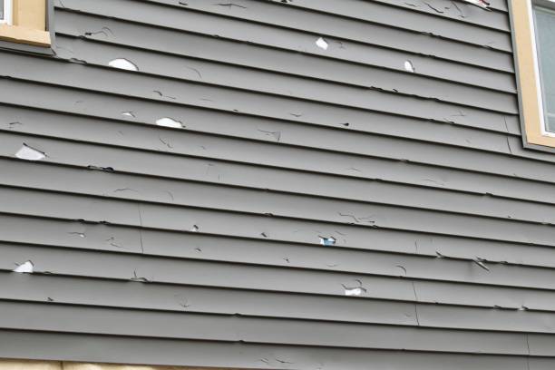 Best Insulated Siding Installation  in Atoka, TN